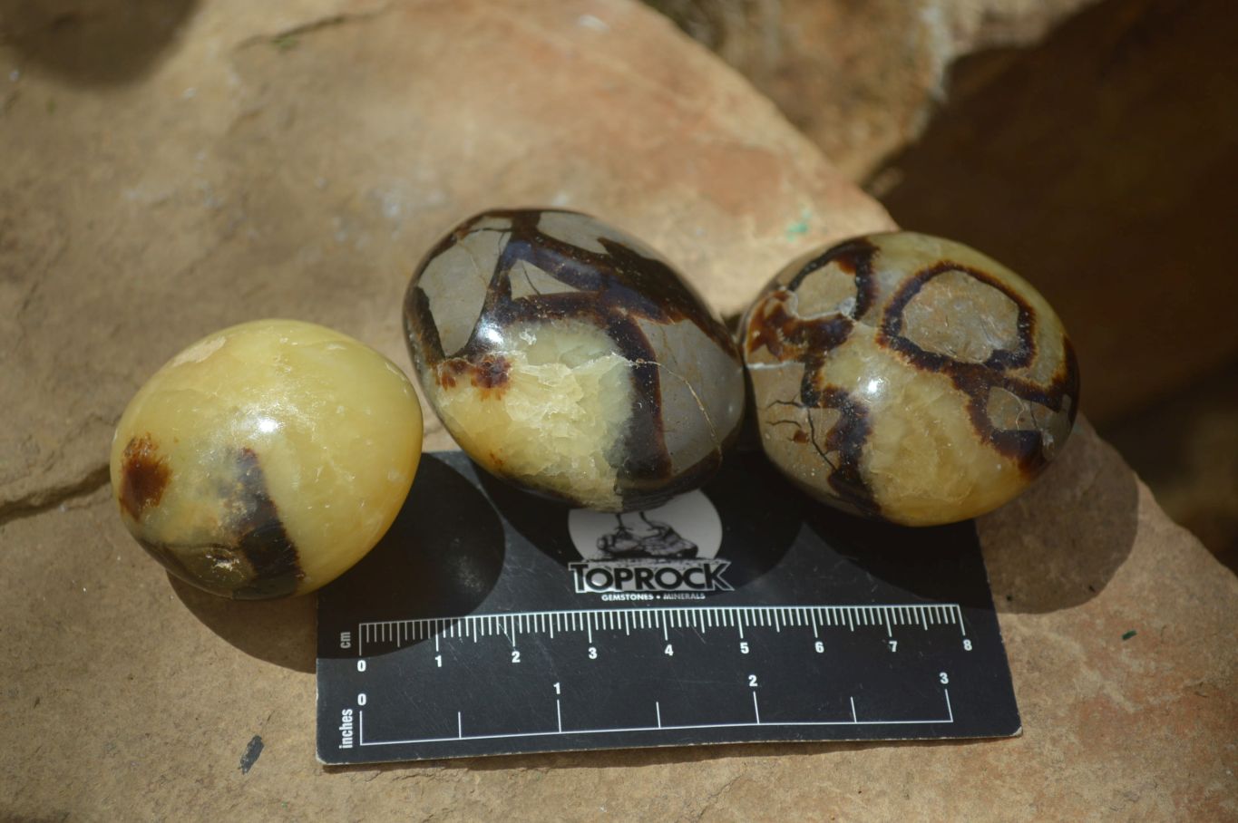 Polished Septerye Galet / Palm Stones x 12 From Mahajanga, Madagascar - Toprock Gemstones and Minerals 