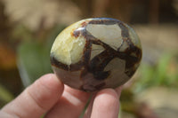 Polished Septerye Galet / Palm Stones x 12 From Mahajanga, Madagascar - Toprock Gemstones and Minerals 