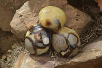 Polished Septerye Galet / Palm Stones x 12 From Mahajanga, Madagascar - Toprock Gemstones and Minerals 