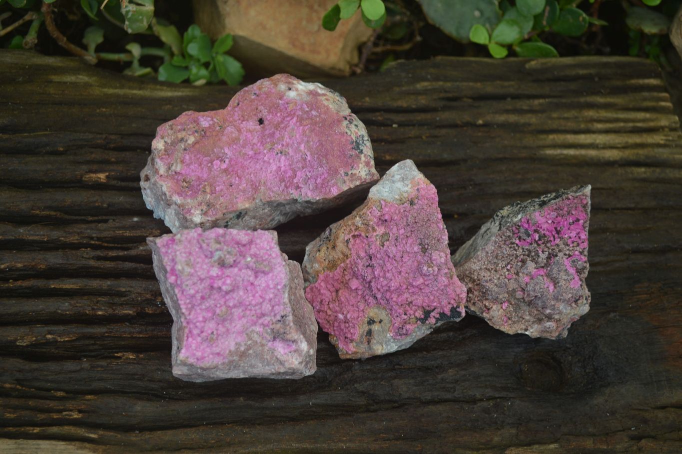 Natural Salrose Cobaltion Dolomite Specimens x 4 From Kakanda, Congo - Toprock Gemstones and Minerals 
