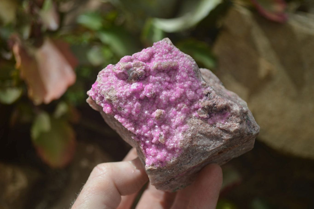 Natural Salrose Cobaltion Dolomite Specimens x 4 From Kakanda, Congo - Toprock Gemstones and Minerals 