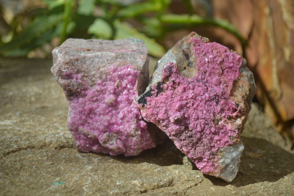 Natural Salrose Cobaltion Dolomite Specimens x 4 From Kakanda, Congo - Toprock Gemstones and Minerals 