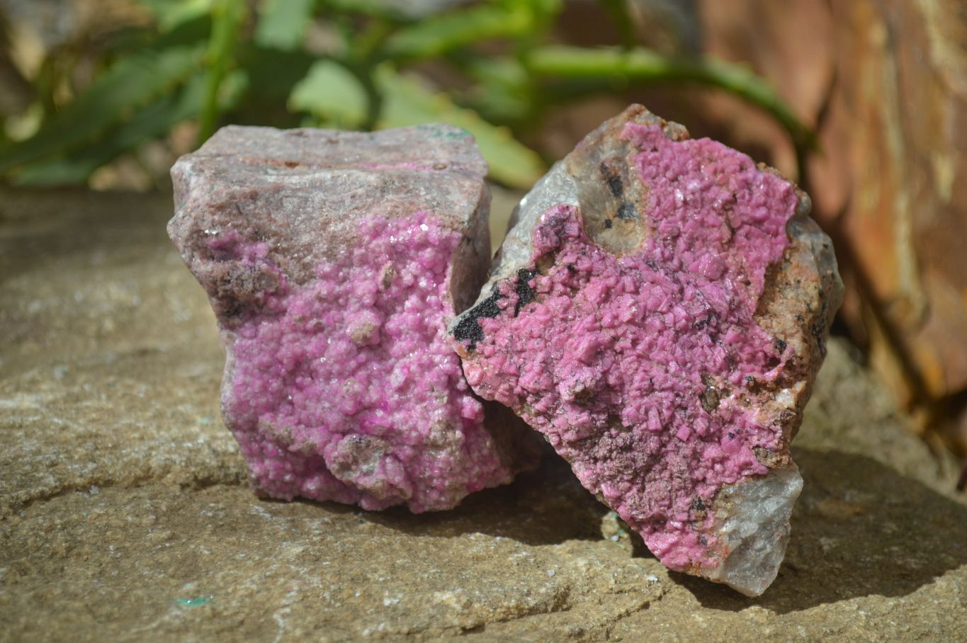 Natural Salrose Cobaltion Dolomite Specimens x 4 From Kakanda, Congo - Toprock Gemstones and Minerals 