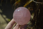 Polished Star Rose Quartz Spheres x 2 From Madagascar - Toprock Gemstones and Minerals 