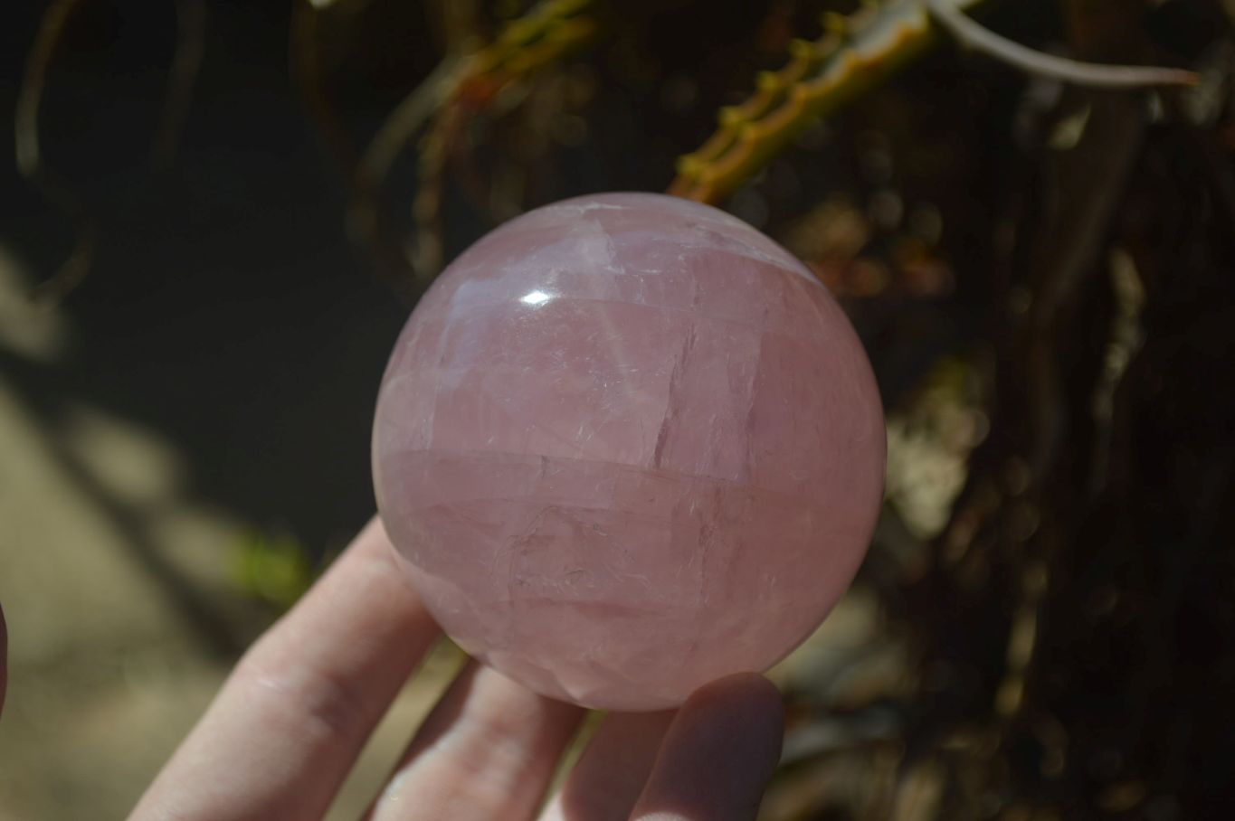 Polished Star Rose Quartz Spheres x 2 From Madagascar - Toprock Gemstones and Minerals 