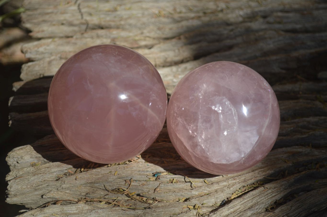 Polished Star Rose Quartz Spheres x 2 From Madagascar - Toprock Gemstones and Minerals 
