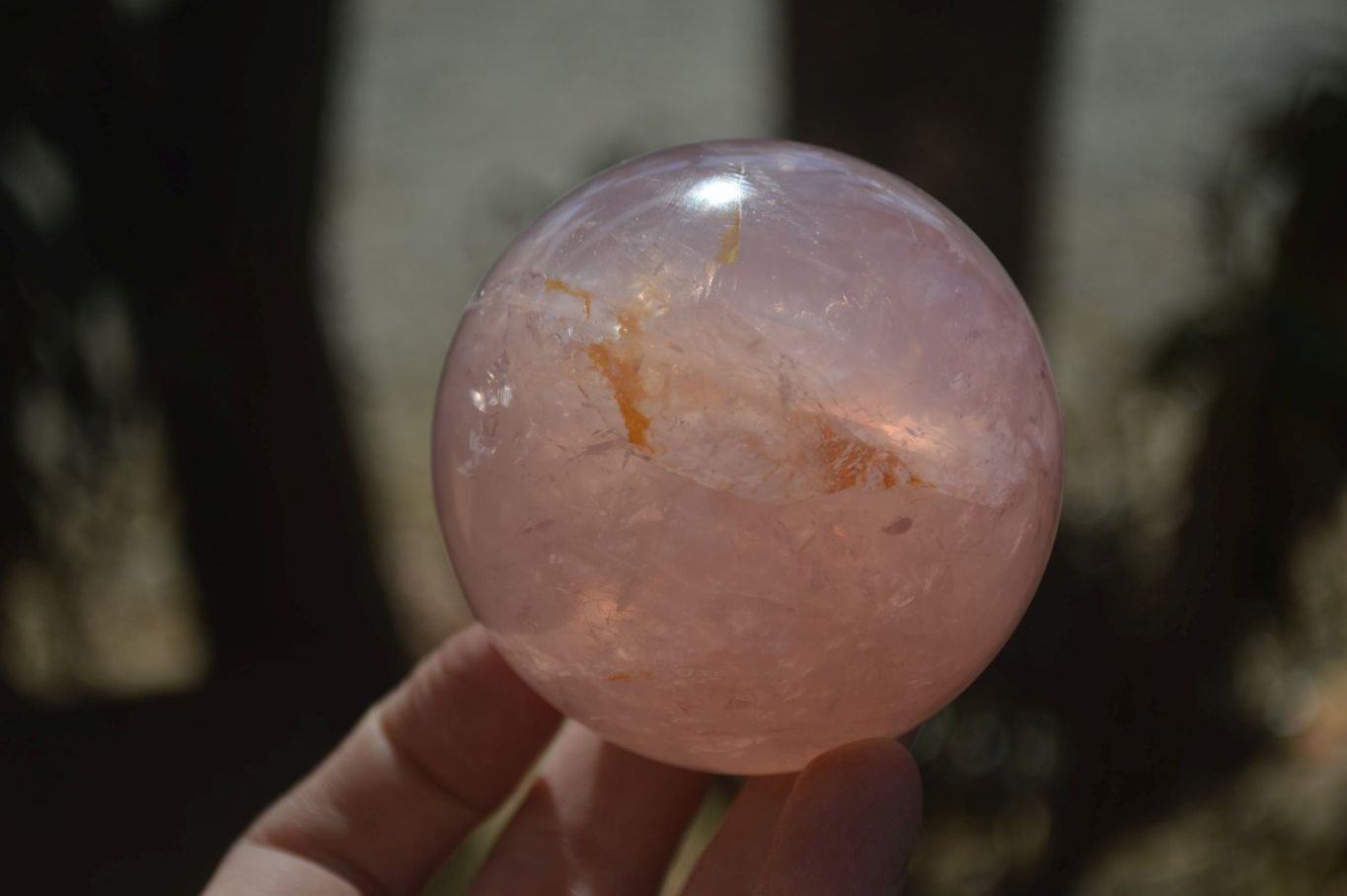 Polished Star Rose Quartz Spheres x 2 From Madagascar - Toprock Gemstones and Minerals 