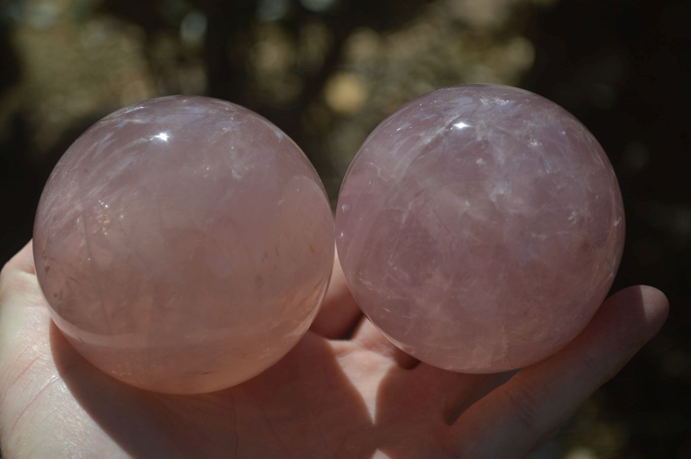 Polished Star Rose Quartz Spheres x 2 From Madagascar - Toprock Gemstones and Minerals 