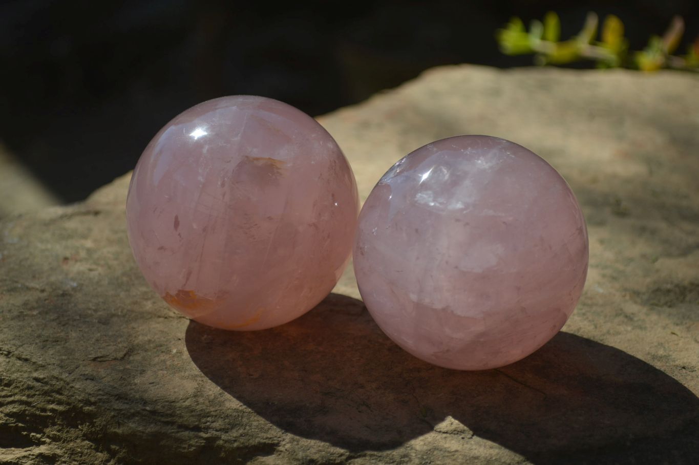 Polished Star Rose Quartz Spheres x 2 From Madagascar - Toprock Gemstones and Minerals 