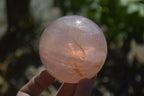 Polished Star Rose Quartz Spheres x 2 From Madagascar - Toprock Gemstones and Minerals 