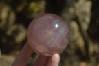Polished Star Rose Quartz Spheres x 2 From Madagascar - Toprock Gemstones and Minerals 