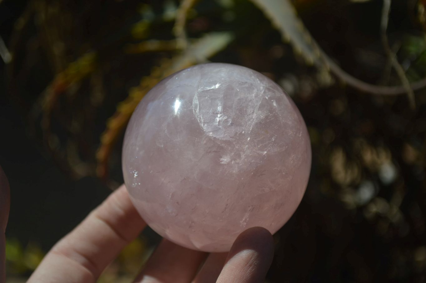 Polished Star Rose Quartz Spheres x 2 From Madagascar - Toprock Gemstones and Minerals 