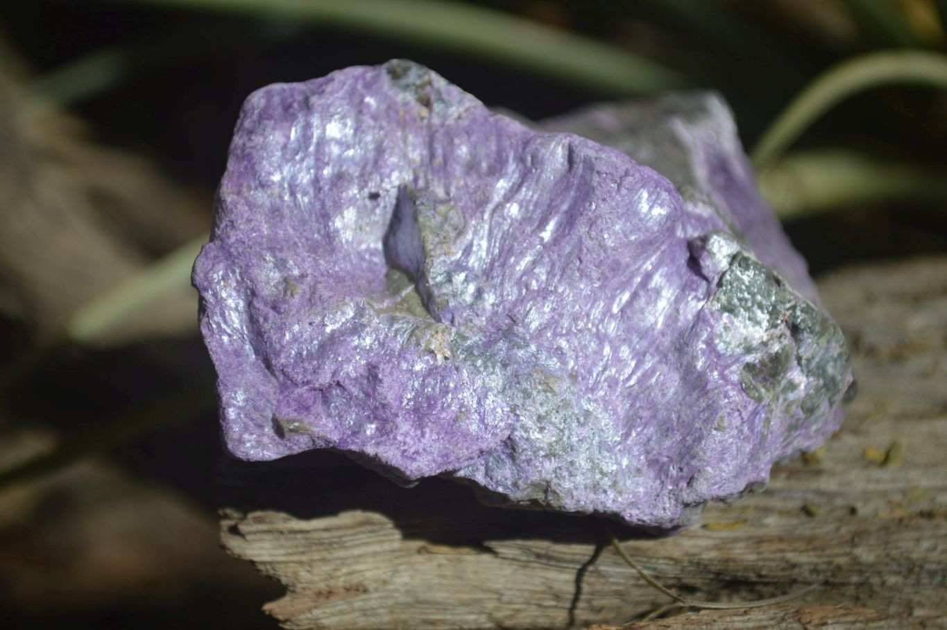 Natural Stichtite & Serpentine Cobbed Specimens x 12 From Barberton, South Africa - Toprock Gemstones and Minerals 