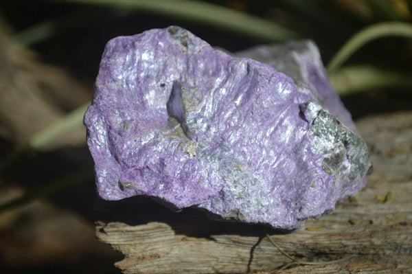 Natural Stichtite & Serpentine Cobbed Specimens x 12 From Barberton, South Africa