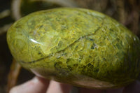 Polished Green Opal Standing Free Forms x 2 From Madagascar - Toprock Gemstones and Minerals 