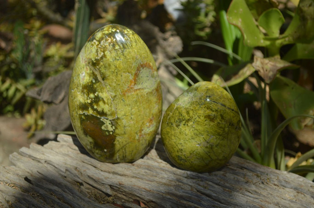 Polished Green Opal Standing Free Forms x 2 From Madagascar - Toprock Gemstones and Minerals 