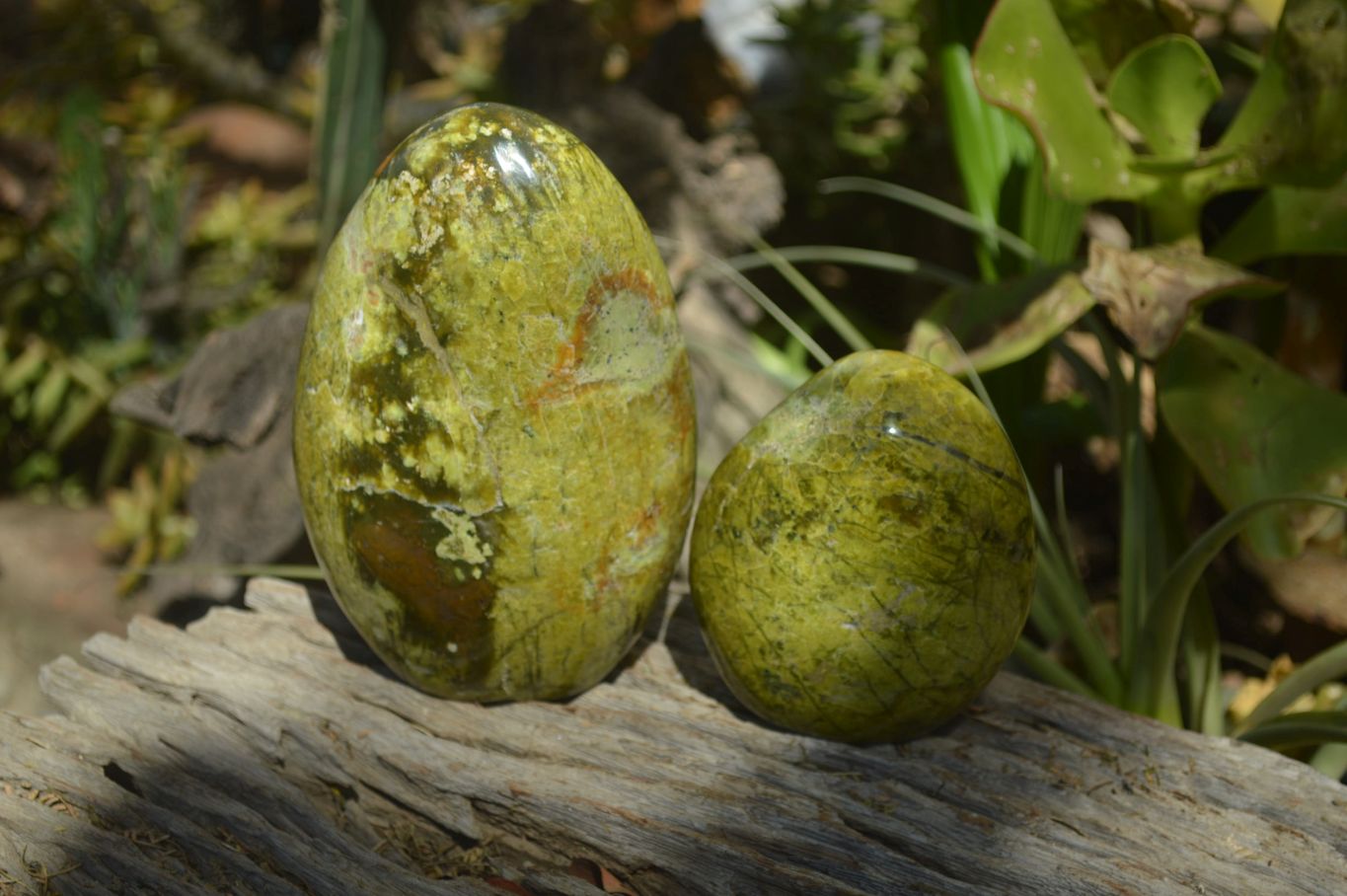 Polished Green Opal Standing Free Forms x 2 From Madagascar - Toprock Gemstones and Minerals 