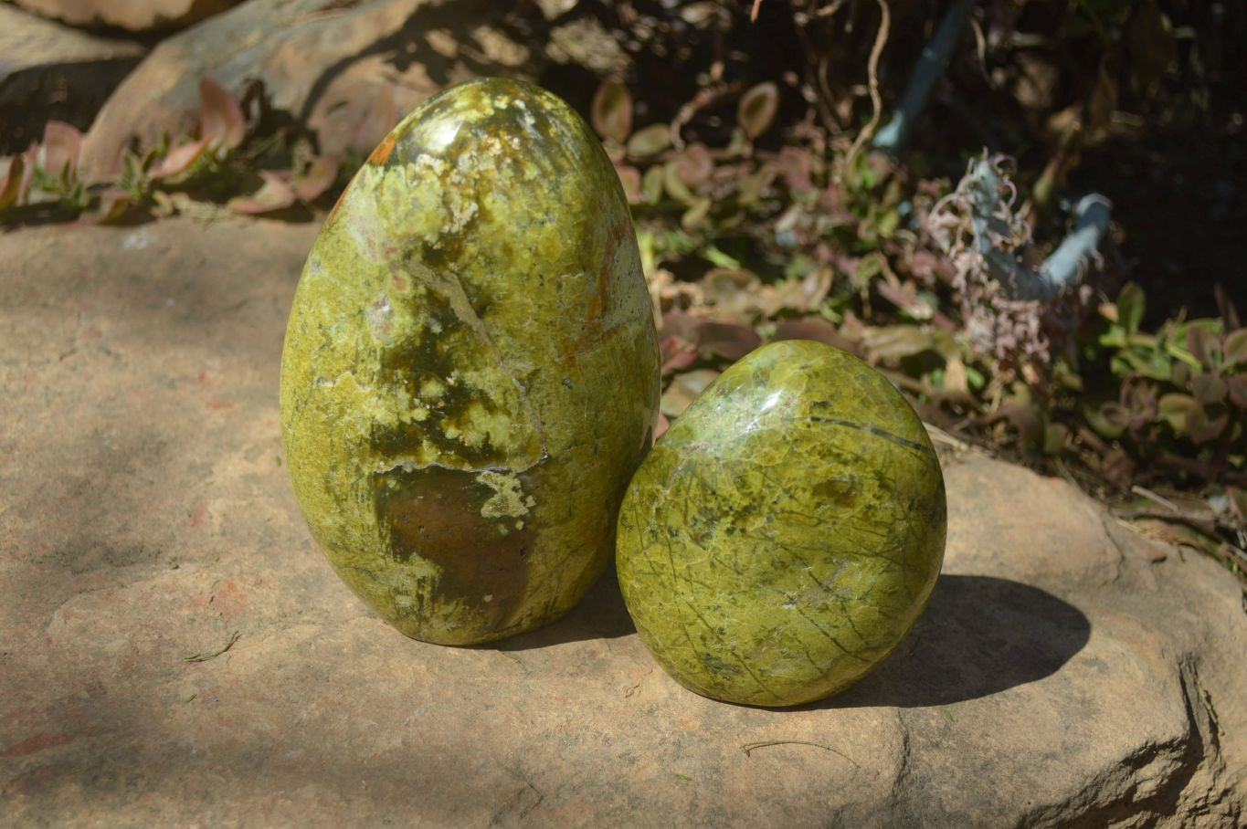 Polished Green Opal Standing Free Forms x 2 From Madagascar - Toprock Gemstones and Minerals 