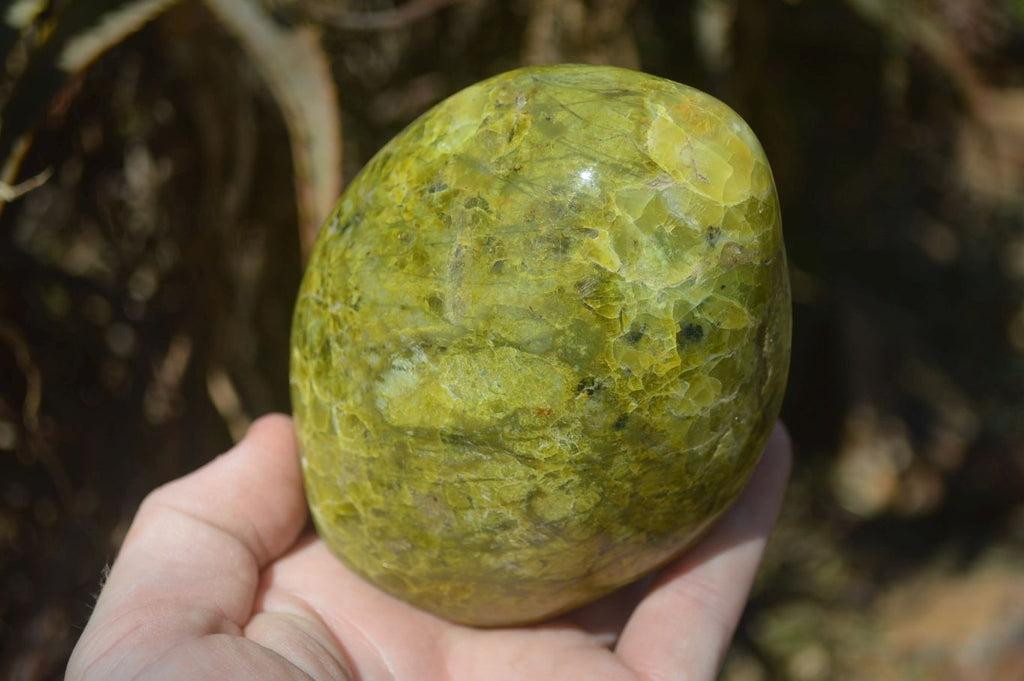 Polished Green Opal Standing Free Forms x 2 From Madagascar - Toprock Gemstones and Minerals 