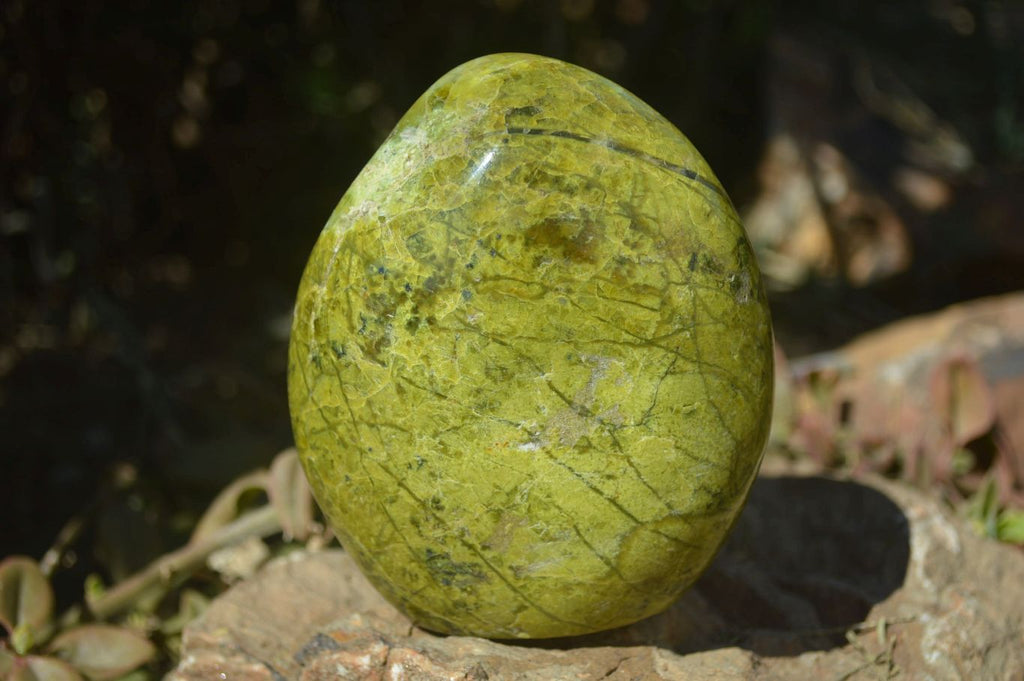 Polished Green Opal Standing Free Forms x 2 From Madagascar - Toprock Gemstones and Minerals 