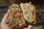 Natural Limonite Quartz Clusters x 13 From Mwinilunga, Zambia - Toprock Gemstones and Minerals 