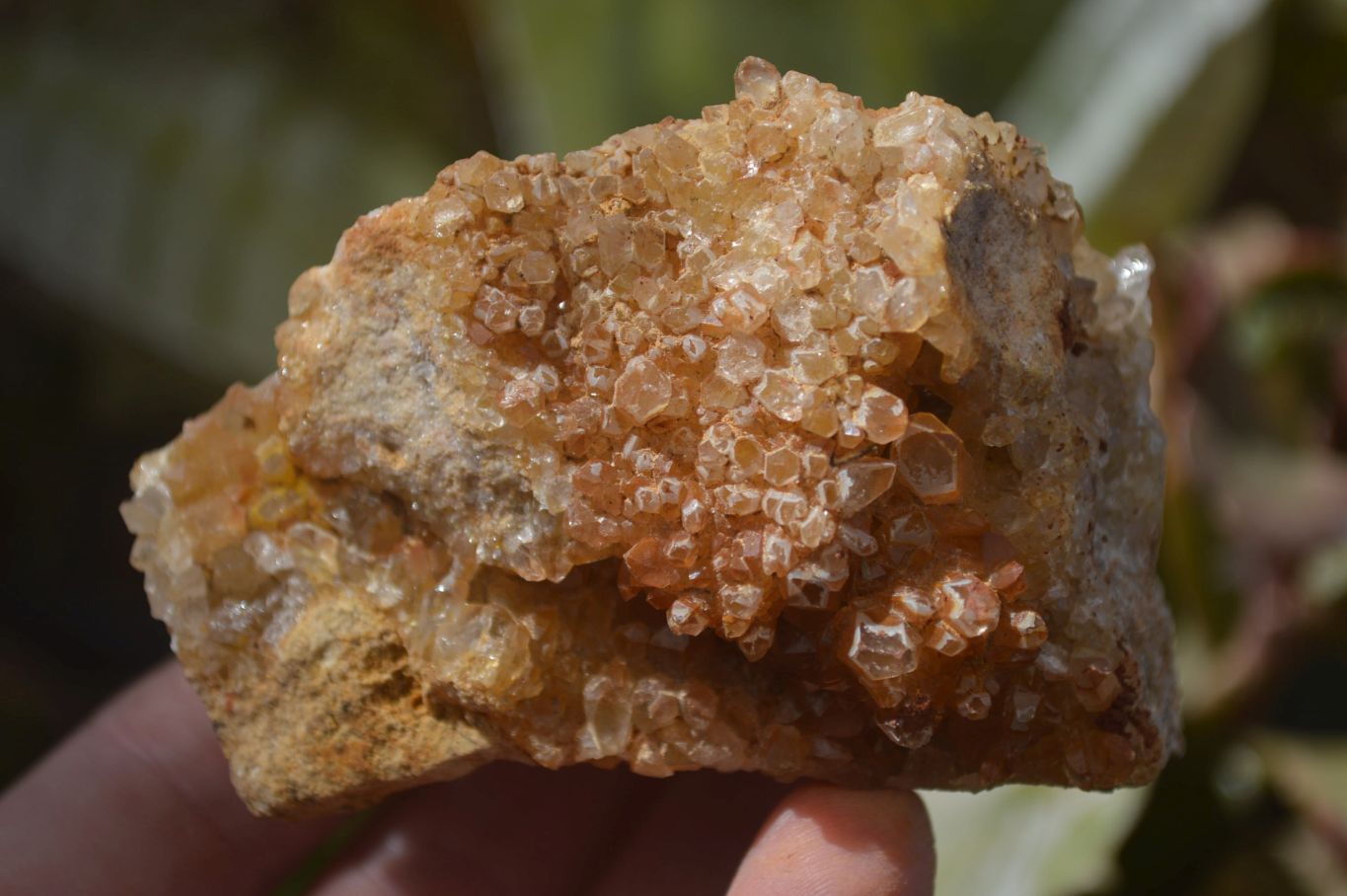 Natural Limonite Quartz Clusters x 13 From Mwinilunga, Zambia - Toprock Gemstones and Minerals 