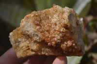Natural Limonite Quartz Clusters x 13 From Mwinilunga, Zambia