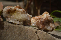 Natural Limonite Quartz Clusters x 13 From Mwinilunga, Zambia
