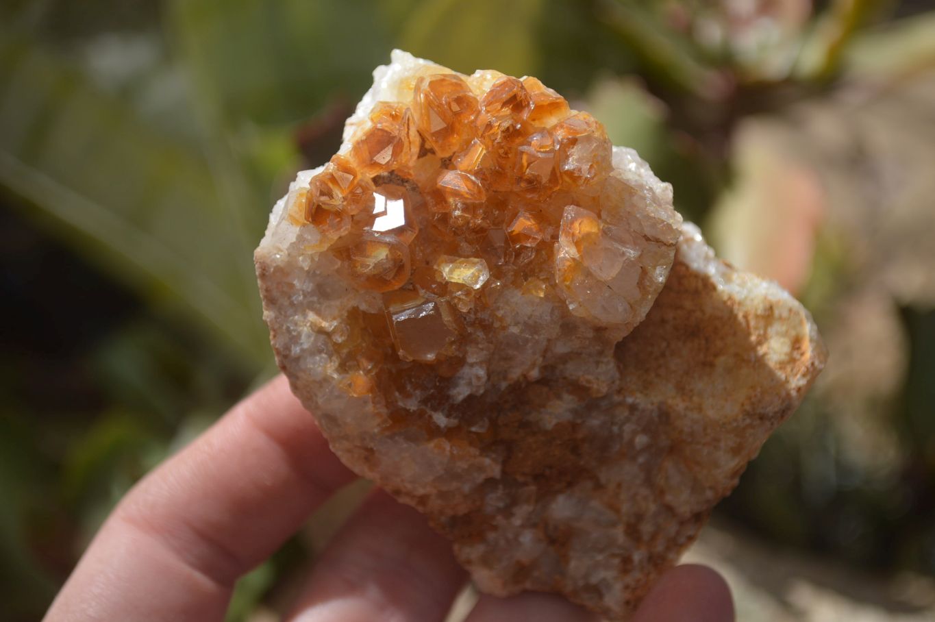 Natural Limonite Quartz Clusters x 13 From Mwinilunga, Zambia - Toprock Gemstones and Minerals 