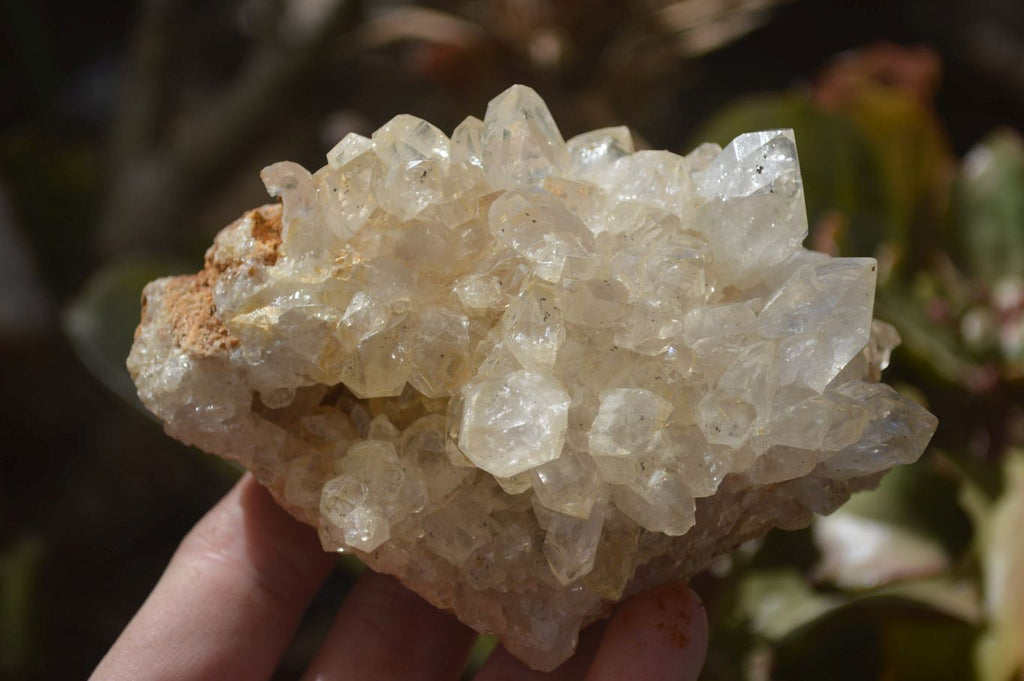 Natural Limonite Quartz Clusters x 13 From Mwinilunga, Zambia - Toprock Gemstones and Minerals 