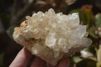 Natural Limonite Quartz Clusters x 13 From Mwinilunga, Zambia - Toprock Gemstones and Minerals 