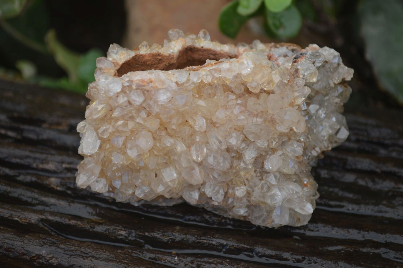 Natural Limonite Quartz Clusters x 13 From Mwinilunga, Zambia - Toprock Gemstones and Minerals 