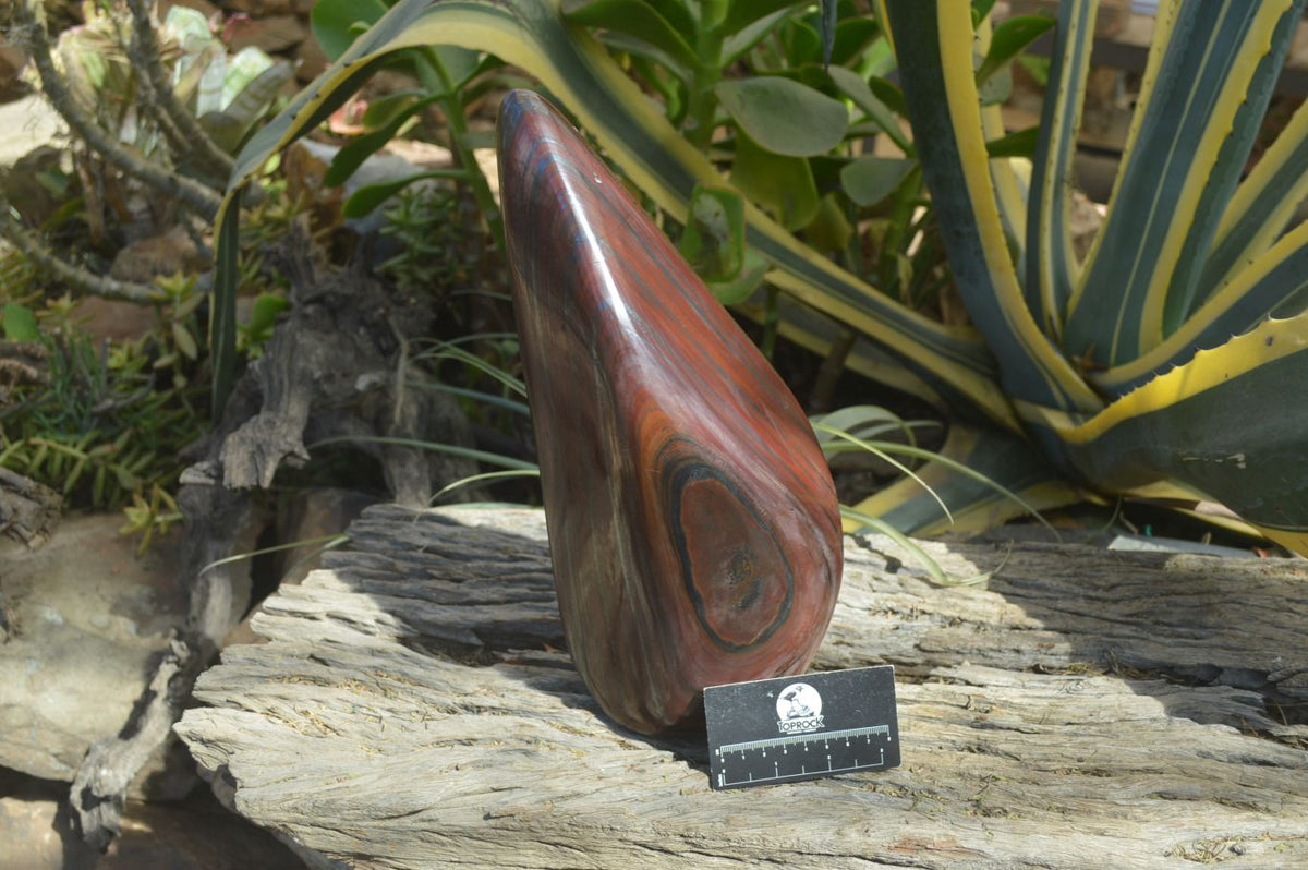Polished Banded Tiger Iron Jasper Standing Free Form x 1 From Prieska, Northern Cape - Toprock Gemstones and Minerals 
