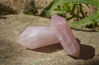 Polished Rose Quartz Points x 3 From Madagascar - Toprock Gemstones and Minerals 