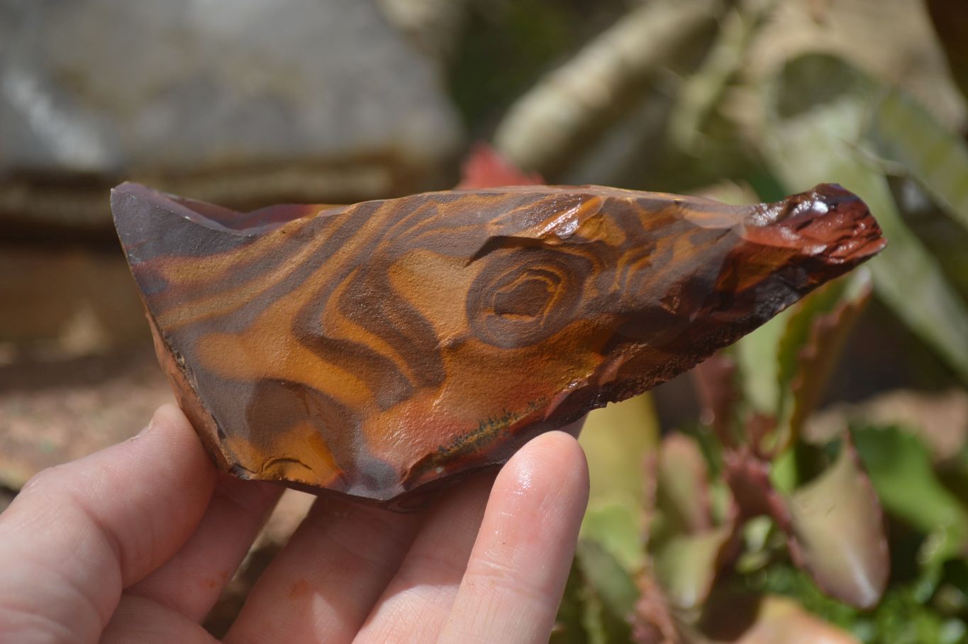 Natural Nguni Jasper Cobbed Specimens x 6 From Prieska, South Africa - Toprock Gemstones and Minerals 