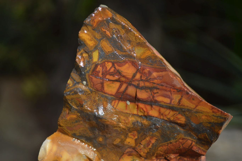 Natural Nguni Jasper Cobbed Specimens x 6 From Prieska, South Africa - Toprock Gemstones and Minerals 