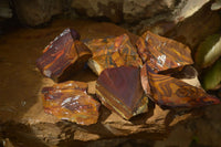 Natural Nguni Jasper Cobbed Specimens x 6 From Prieska, South Africa - Toprock Gemstones and Minerals 