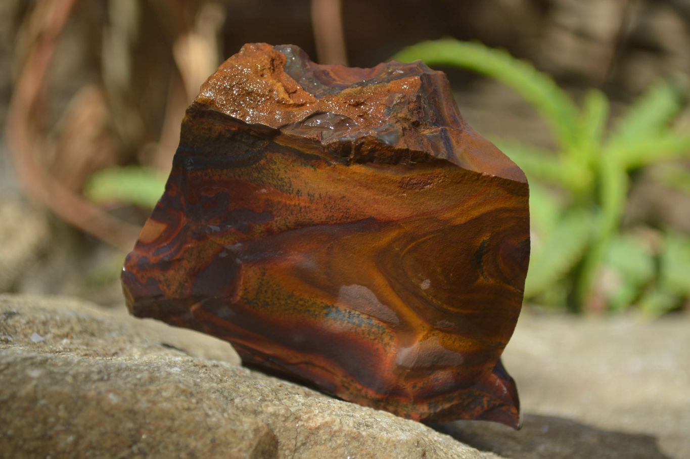 Natural Nguni Jasper Cobbed Specimens x 6 From Prieska, South Africa - Toprock Gemstones and Minerals 