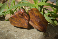 Natural Nguni Jasper Cobbed Specimens x 6 From Prieska, South Africa - Toprock Gemstones and Minerals 