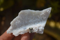 Natural Etched Blue Chalcedony Specimens x 12 From Nsanje, Malawi - Toprock Gemstones and Minerals 