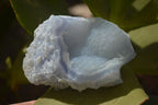 Natural Etched Blue Chalcedony Specimens x 12 From Nsanje, Malawi - Toprock Gemstones and Minerals 