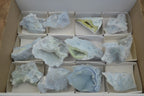 Natural Etched Blue Chalcedony Specimens x 12 From Nsanje, Malawi - Toprock Gemstones and Minerals 