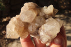 Natural Smokey Quartz Clusters x 6 From Luena, Congo - Toprock Gemstones and Minerals 