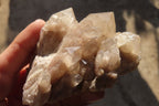 Natural Smokey Quartz Clusters x 6 From Luena, Congo - Toprock Gemstones and Minerals 