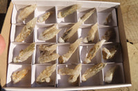 Natural Drusy Quartz Coated Calcite Pseudomorph Specimens x 20 From Alberts Mountain, Lesotho