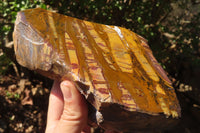 Polished On One Side Nguni Jasper Specimens x 2 From Prieska, South Africa - Toprock Gemstones and Minerals 