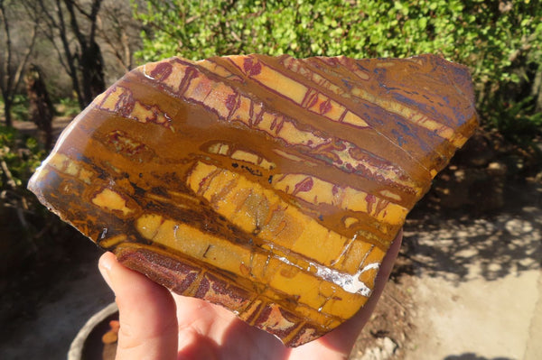 Polished On One Side Nguni Jasper Specimens x 2 From Prieska, South Africa - Toprock Gemstones and Minerals 