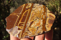 Polished On One Side Nguni Jasper Specimens x 2 From Prieska, South Africa - Toprock Gemstones and Minerals 