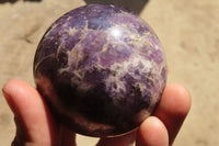 Polished Lepidolite Spheres x 3 From Madagascar - Toprock Gemstones and Minerals 