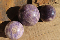 Polished Lepidolite Spheres x 3 From Madagascar - Toprock Gemstones and Minerals 
